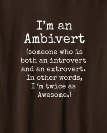 Ambiversion