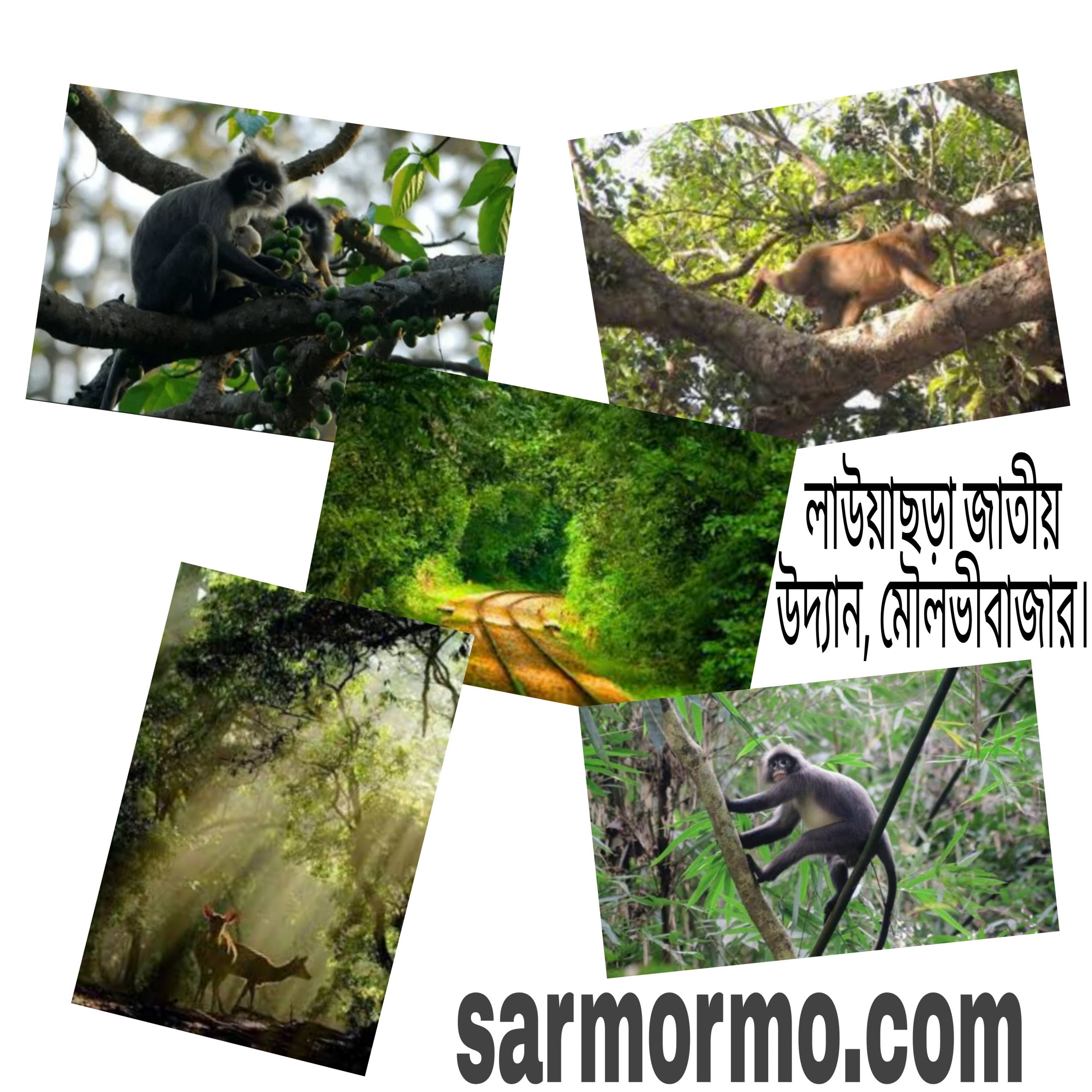 Eski buvilar porno video Rus tilida porno olish