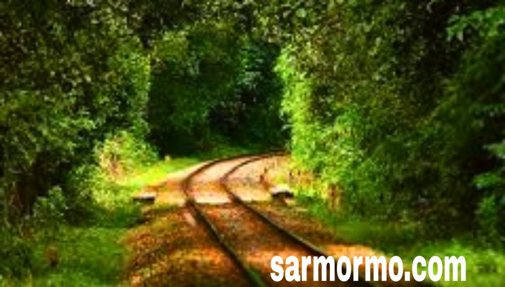 রেললাইন